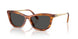 Swarovski 6057F Sunglasses