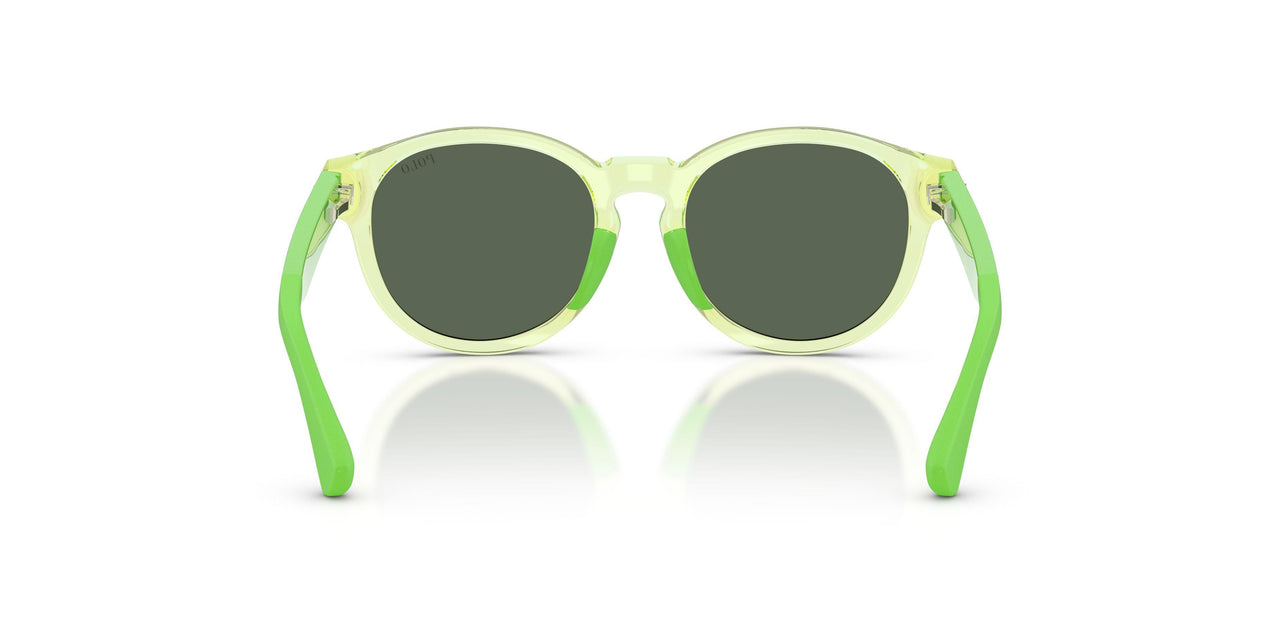 636571 - Green - Dark Green