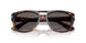 24/B1 - Tortoise - Dark Grey