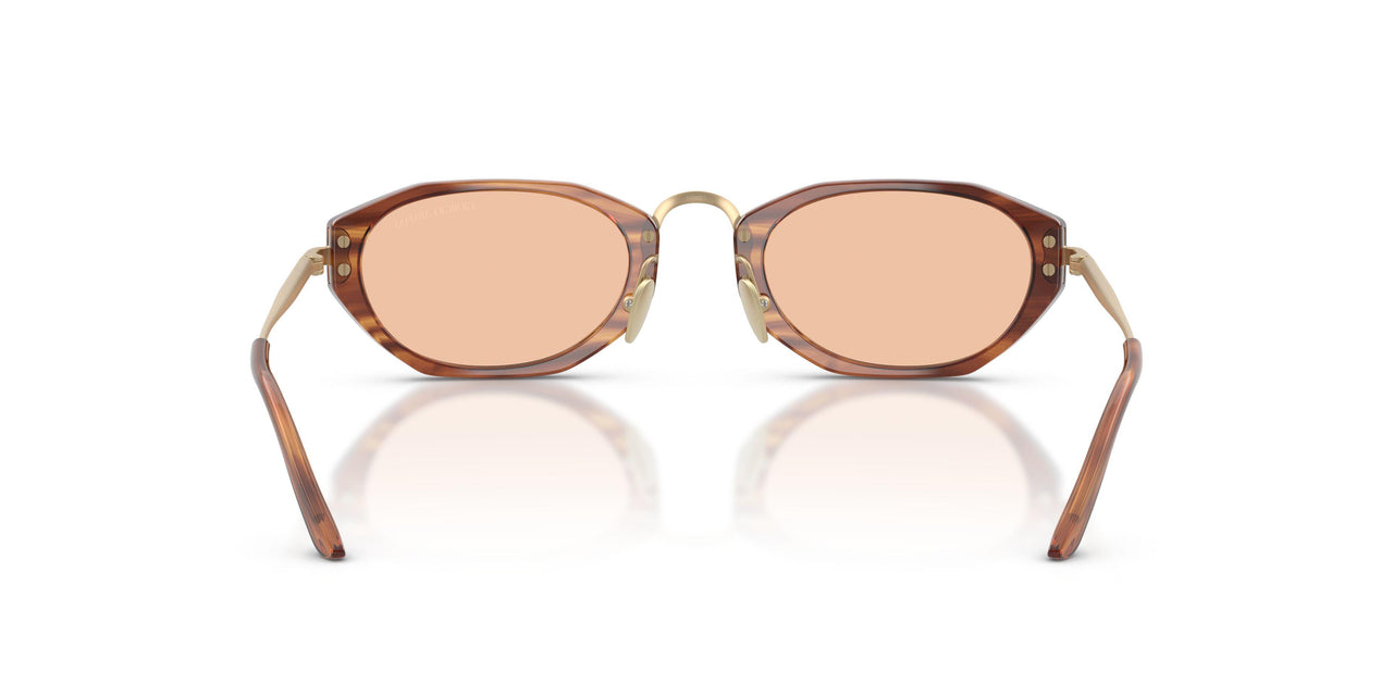 616273 - Tortoise - Light Brown