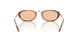 616273 - Tortoise - Light Brown