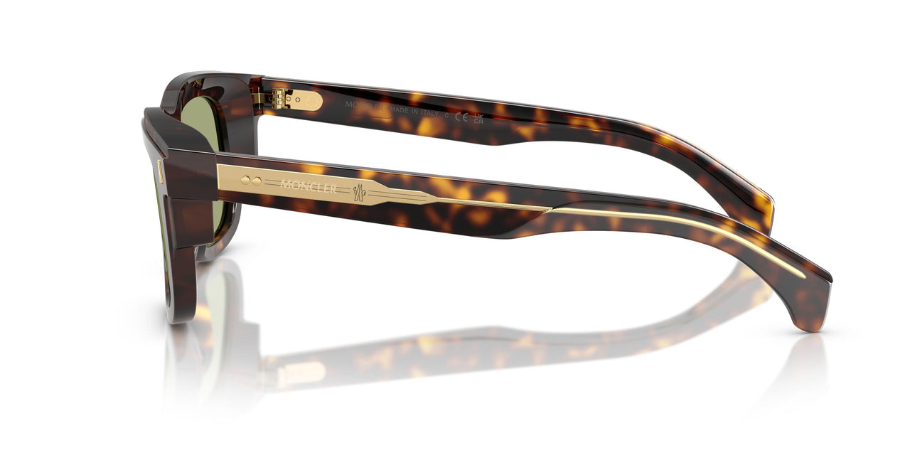 300282 - Tortoise - Green