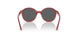306687 - Transparent Dark Red - Dark grey