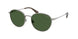 Polo 3163 Sunglasses