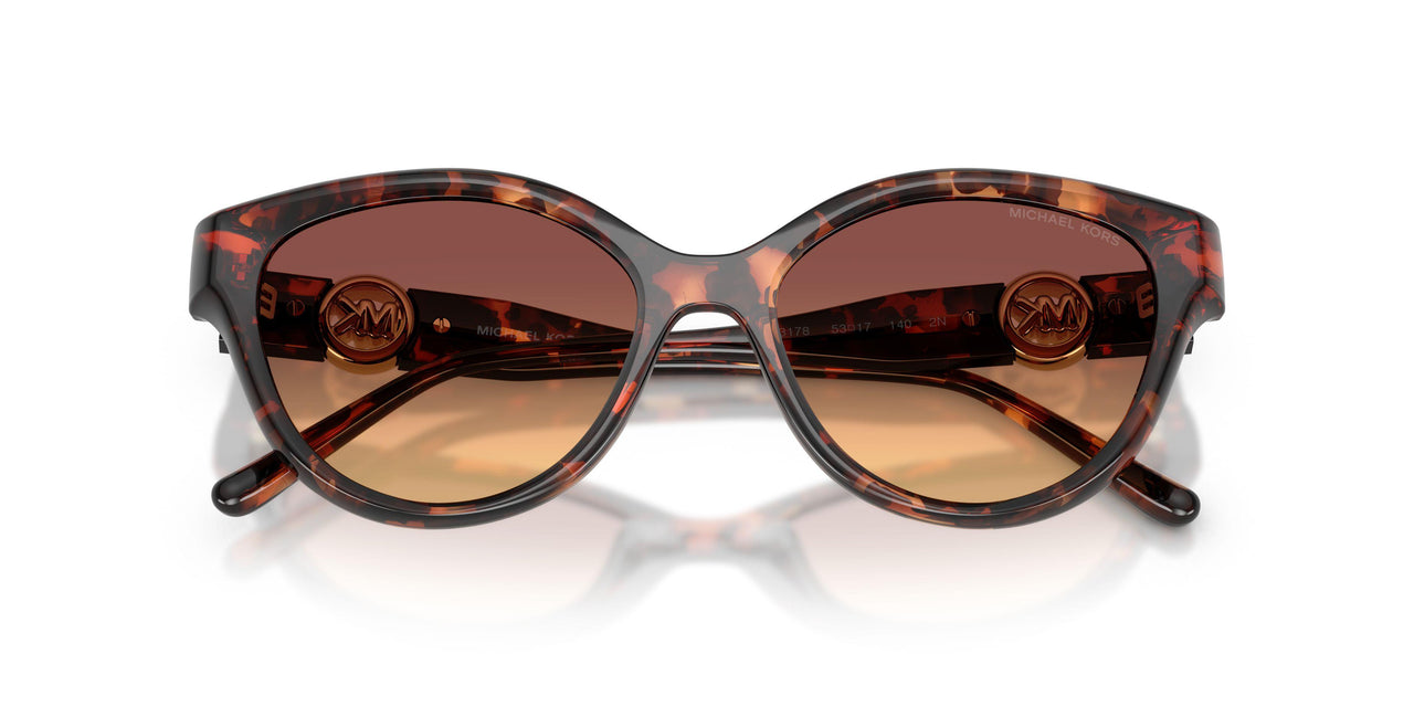 403178 - Tortoise - Brown Gradient