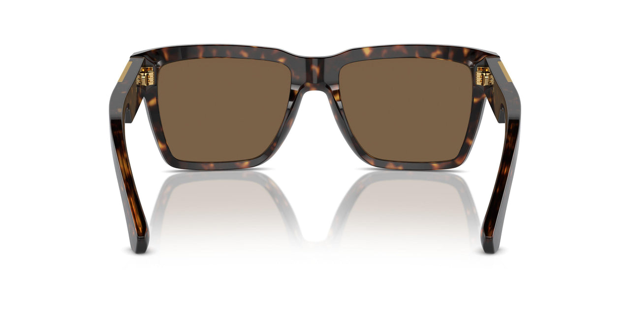 502/73 - Tortoise - Dark Brown