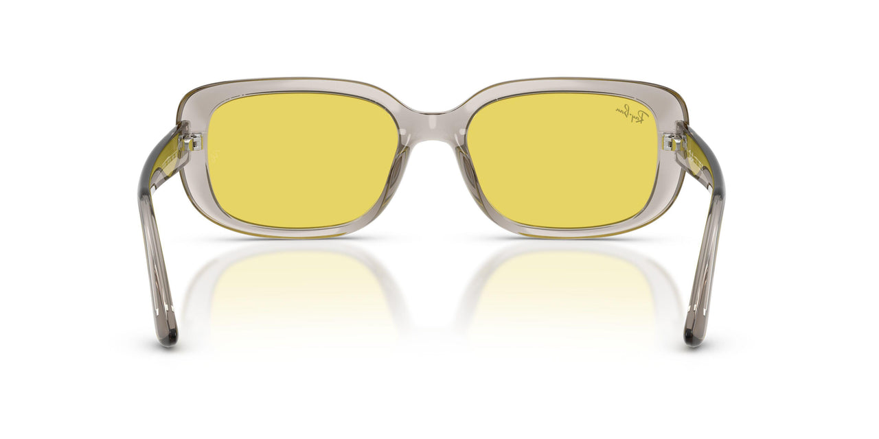 681885 - Brown - Yellow
