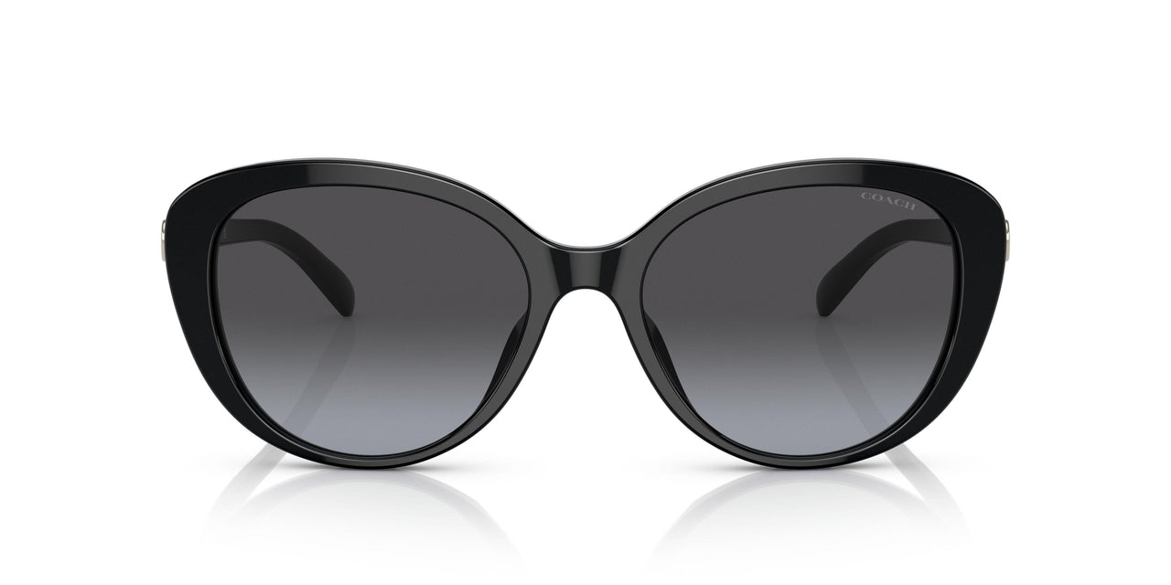 50028G - Black - Grey Gradient