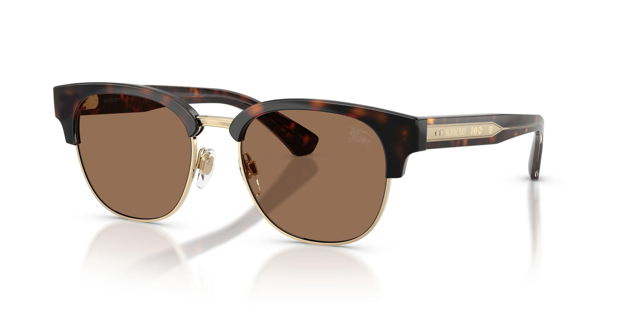 Burberry 4485 Sunglasses
