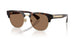 420573 - Brown - Dark Brown