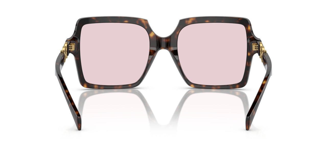 108/P5 - Tortoise - Photo Pink