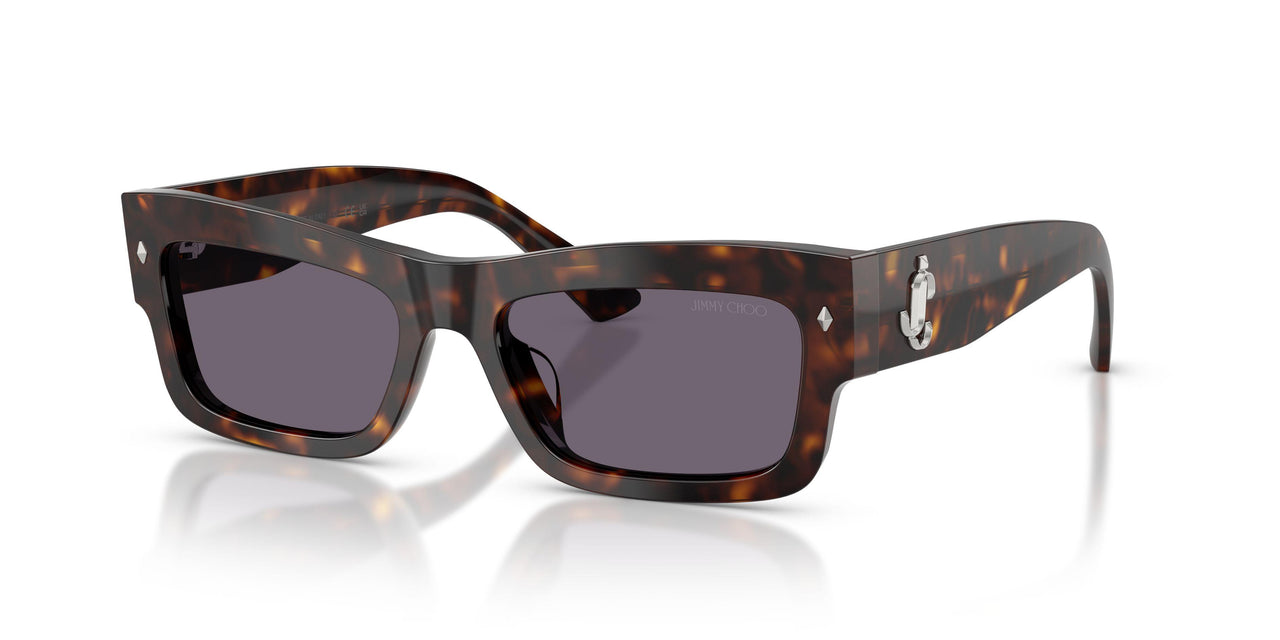 50021A - Tortoise - Violet