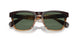 13929A - Brown - G-15 Polarized