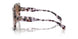 334513 - Tortoise - Brown Pink Gradient