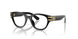 Dolce & Gabbana Kids 3004 Eyeglasses