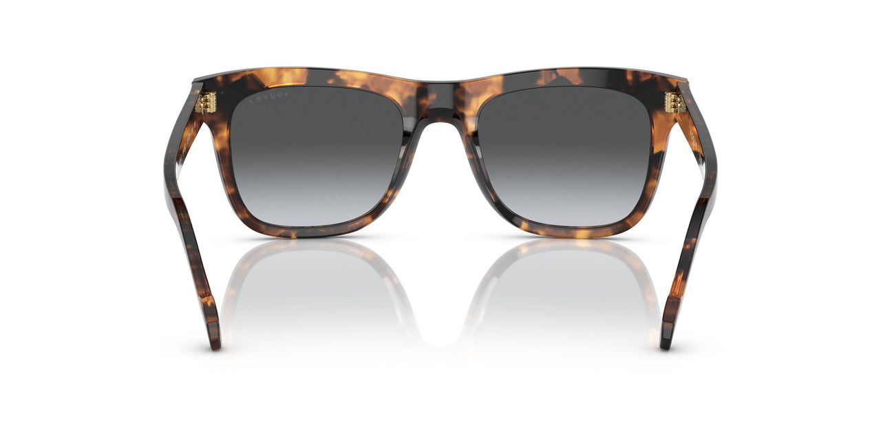 2819T3 - Havana - Gradient Dark Grey Polar