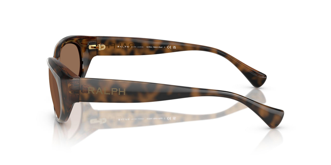 614973 - Tortoise - Dark Brown