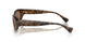 614973 - Tortoise - Dark Brown