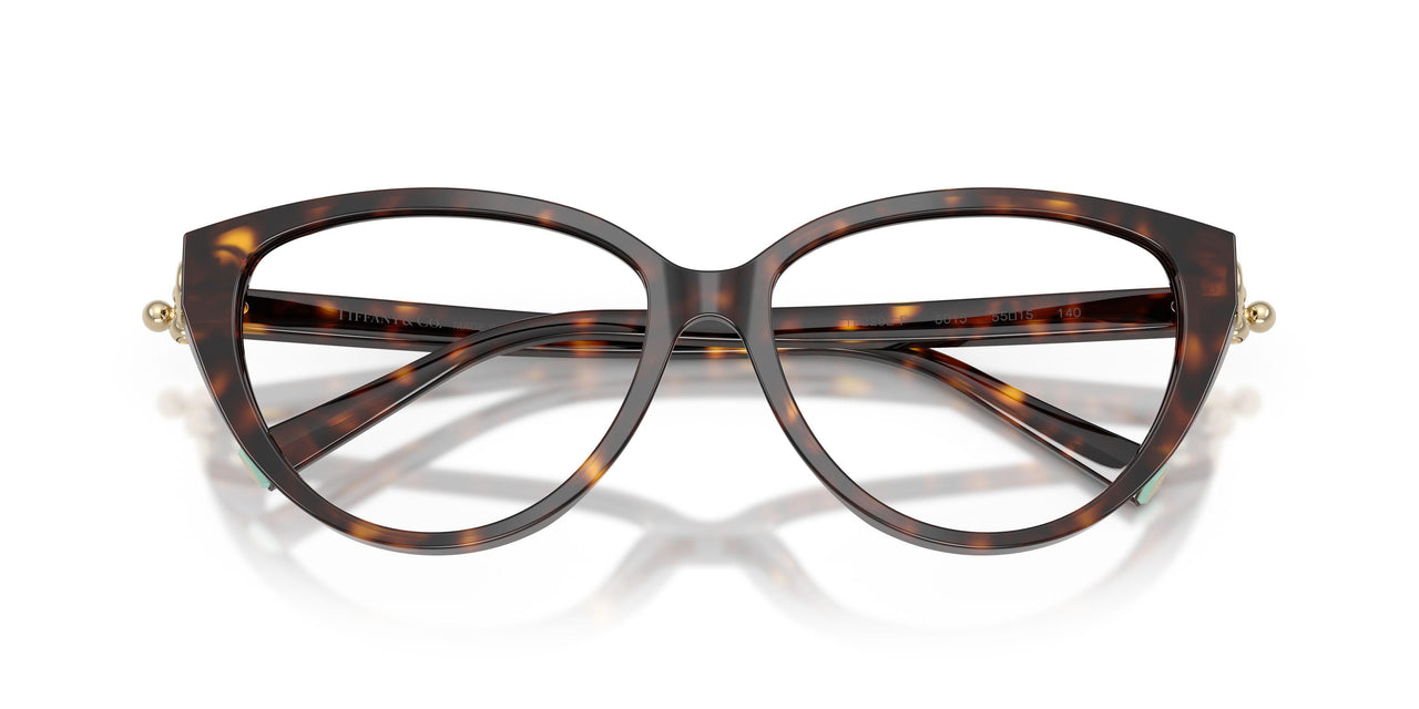 8015 - Tortoise