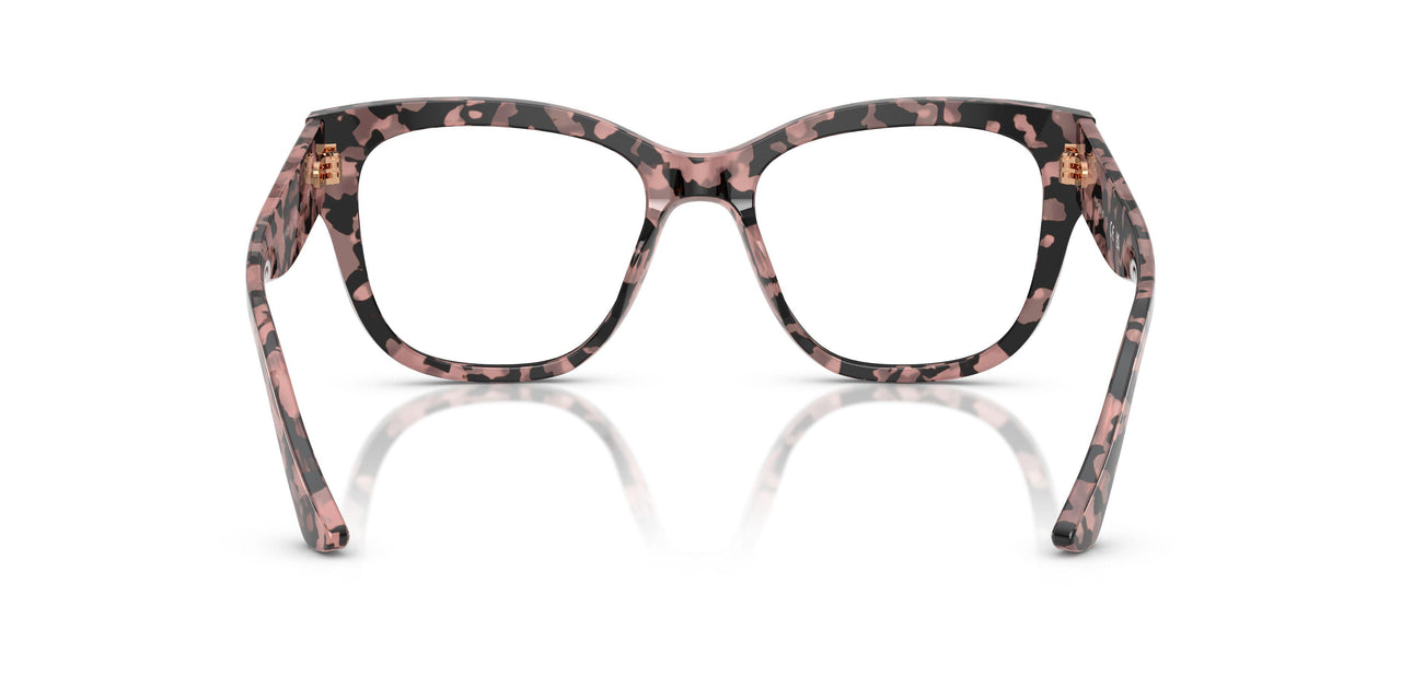 3150 - Tortoise