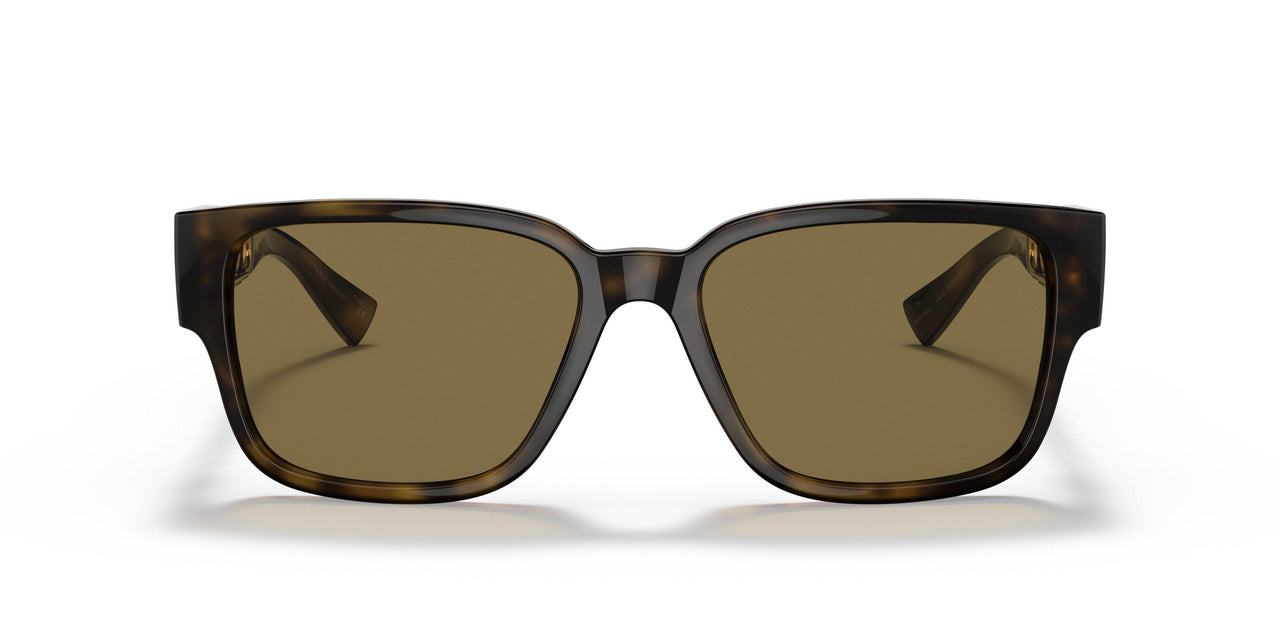 108/73 - Havana - Dark Brown