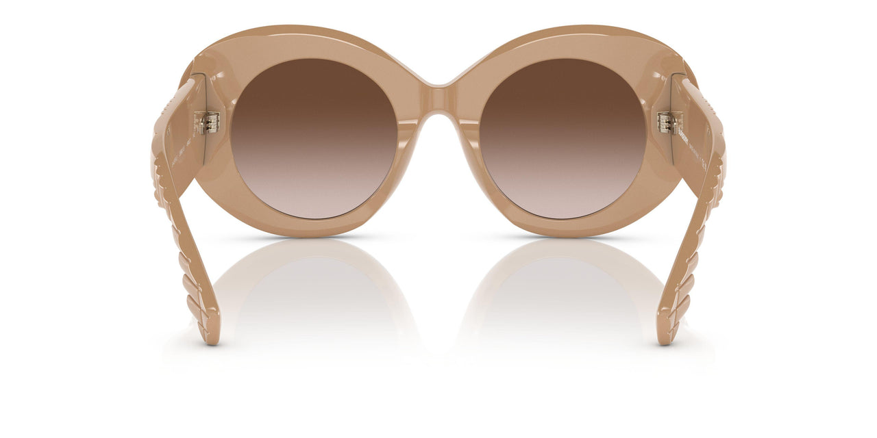 399013 - Brown - Brown Gradient