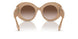 399013 - Brown - Brown Gradient