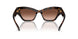 10023B - Tortoise - Gradient Brown