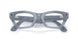 691410 - Brown - Clear/copper