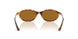 320083 - Tortoise - Bronze Polar