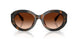 647874 - Tortoise - Brown Gradient