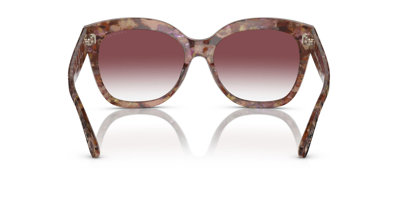 57398H - Tortoise - Purple Clear Gradient