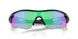 920602 - Matte White - Slate Iridium