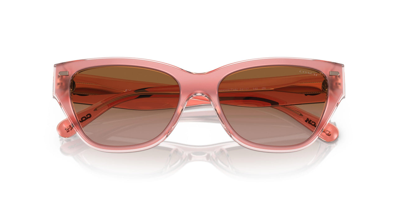 574313 - Pink - Brown Gradient