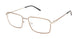 Perry Ellis 1366 Eyeglasses