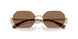 334373 - Gold - Dark Brown