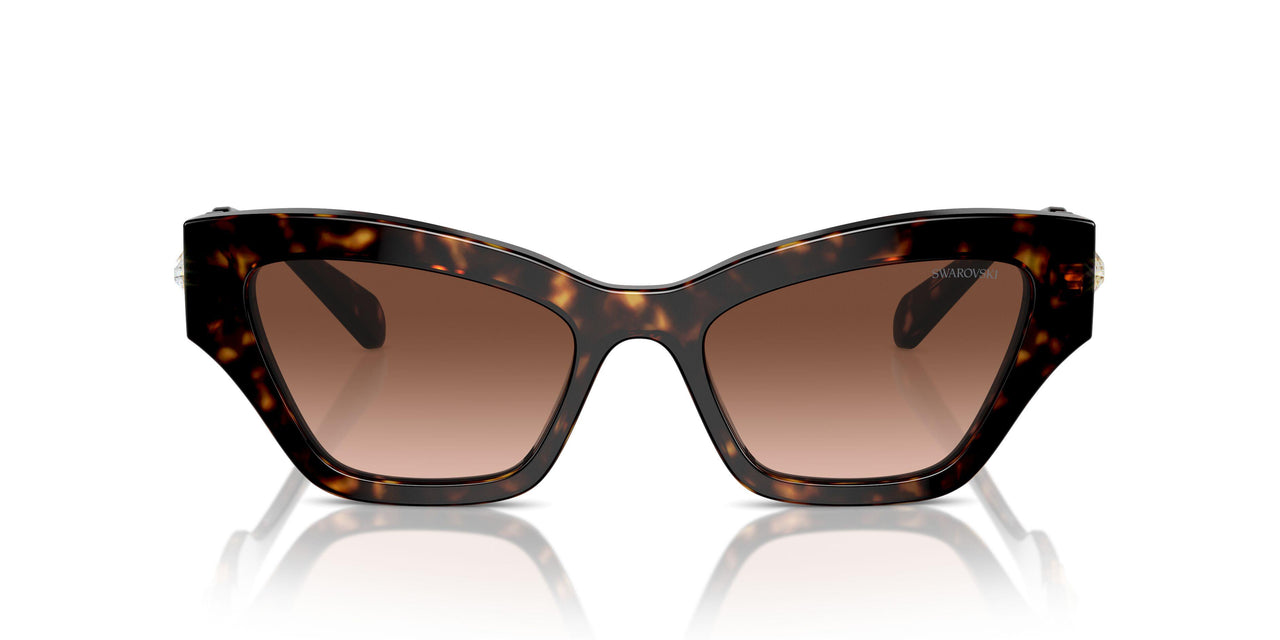 10023B - Tortoise - Gradient Brown