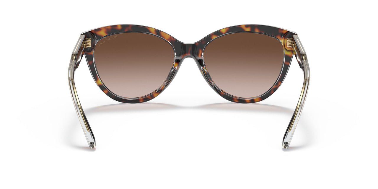 310213 - Havana - Brown Gradient
