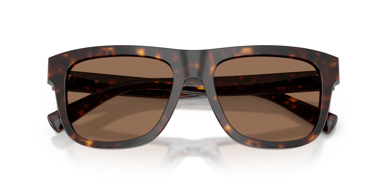 502/73 - Tortoise - Dark Brown