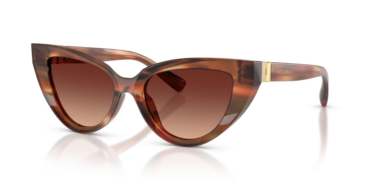 322113 - Tortoise - Gradient Brown