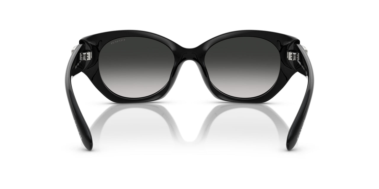 50023C - Black - Grey Gradient