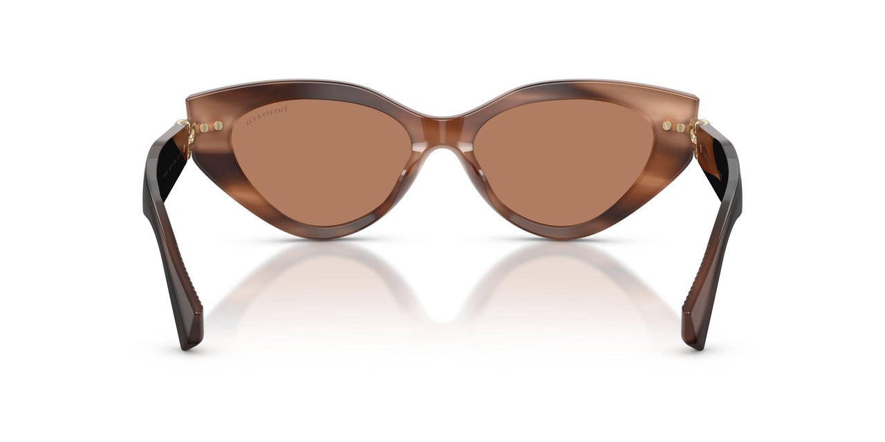 847573 - Tortoise - Solid Brown