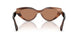 847573 - Tortoise - Solid Brown