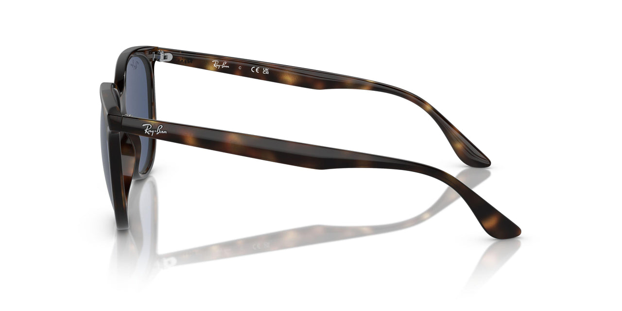 710/80 - Tortoise - Dark Blue