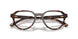 300613 - Tortoise - Smoke Gradient