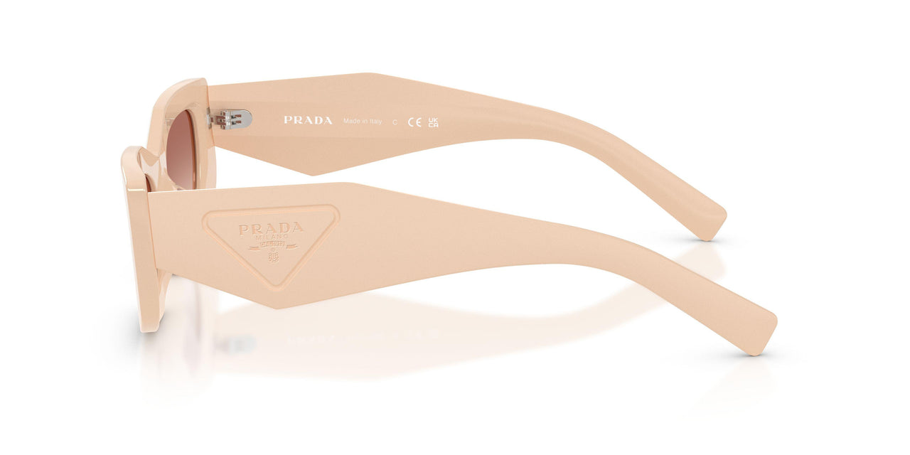 25B50L - Pink - Brown Gradient Bordeaux