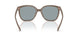 4003M5 - Grey - Rose Gold Polar