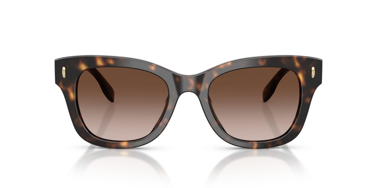 196413 - Tortoise - Brown Gradient