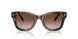 196413 - Tortoise - Brown Gradient