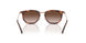 721913 - Brown - Light Brown Gradient Dark Brow